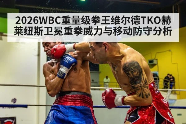 2026WBC重量级拳王维尔德TKO赫莱纽斯卫冕重拳威力与移动防守分析